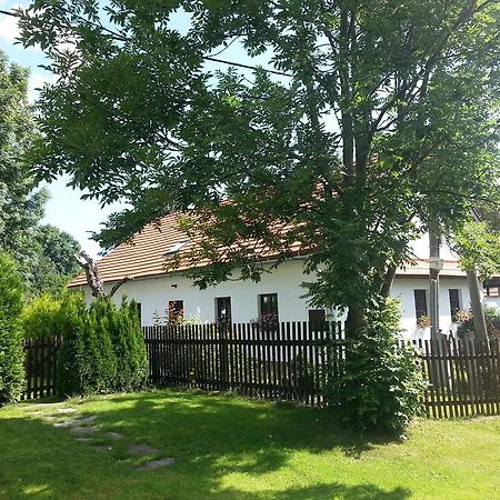 Apartmán Krátká Szoba fotó
